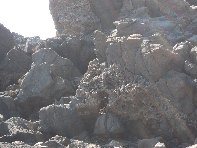 i Trezza-20110311 065